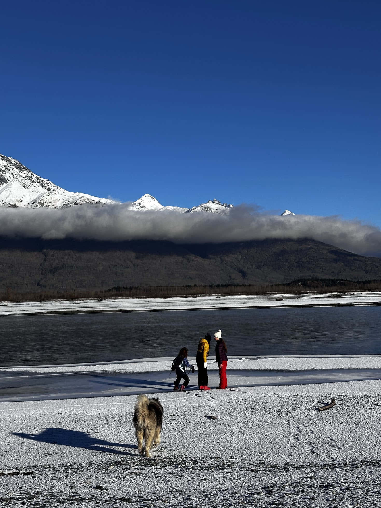 Moose On The Loose Chalet gallery 51