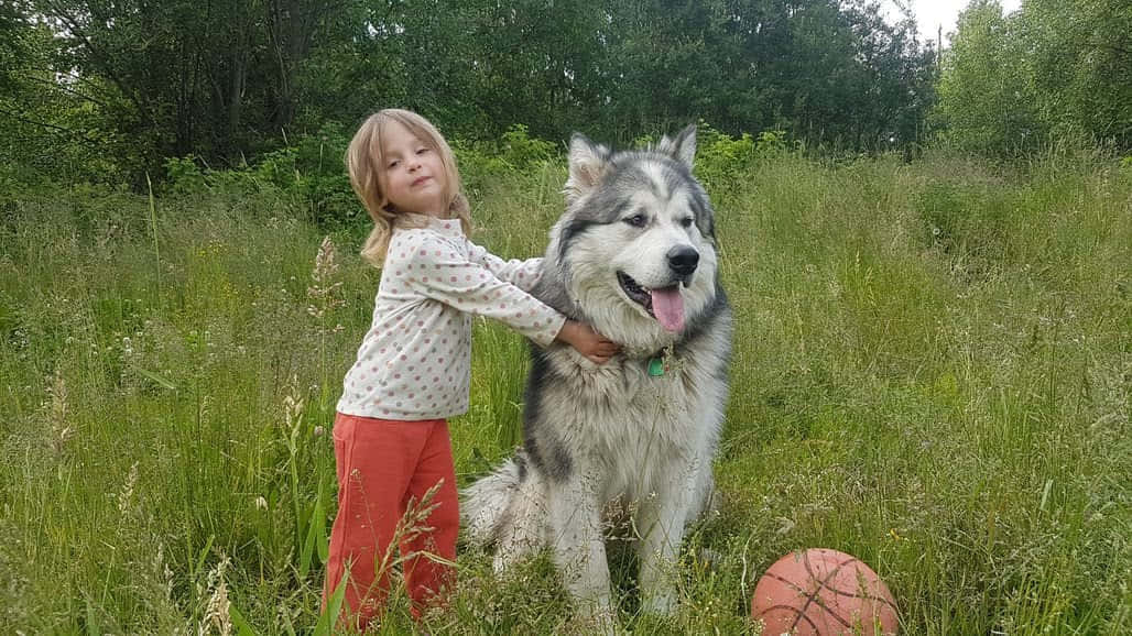 חדר ירוק (1-2 אורחים) info 1