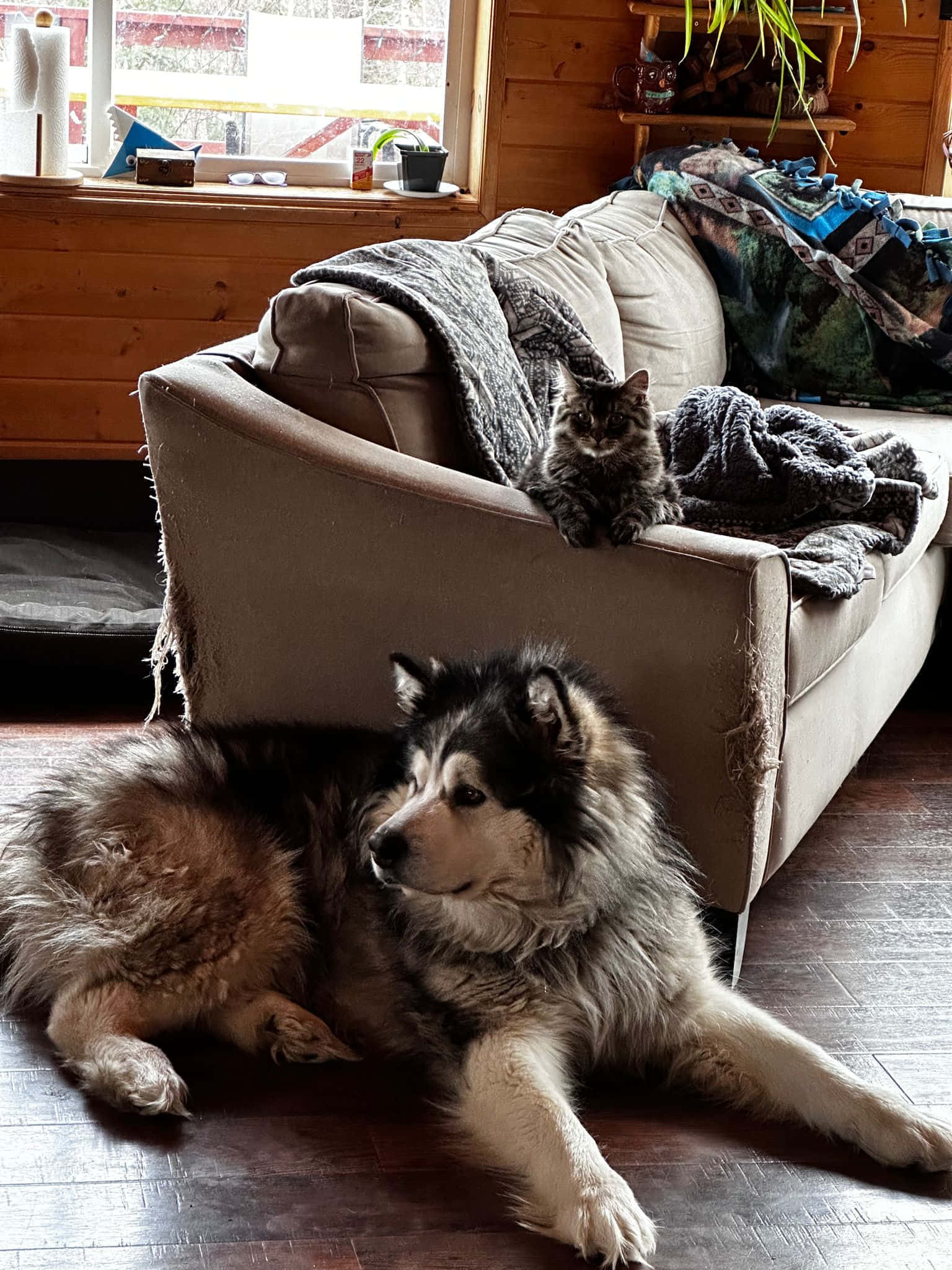 חדר ירוק (1-2 אורחים) info 2