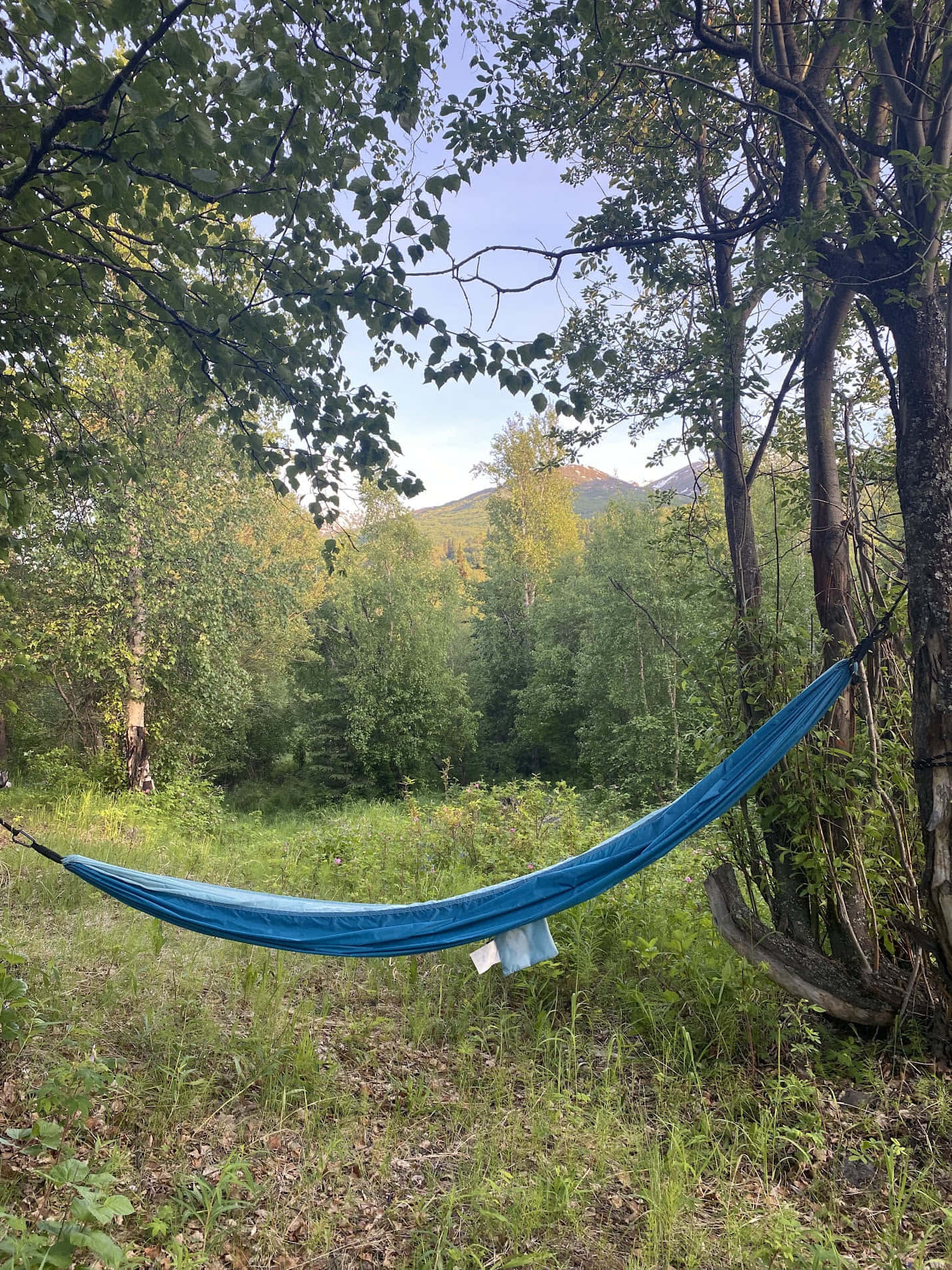 Your Own Tent gallery 4