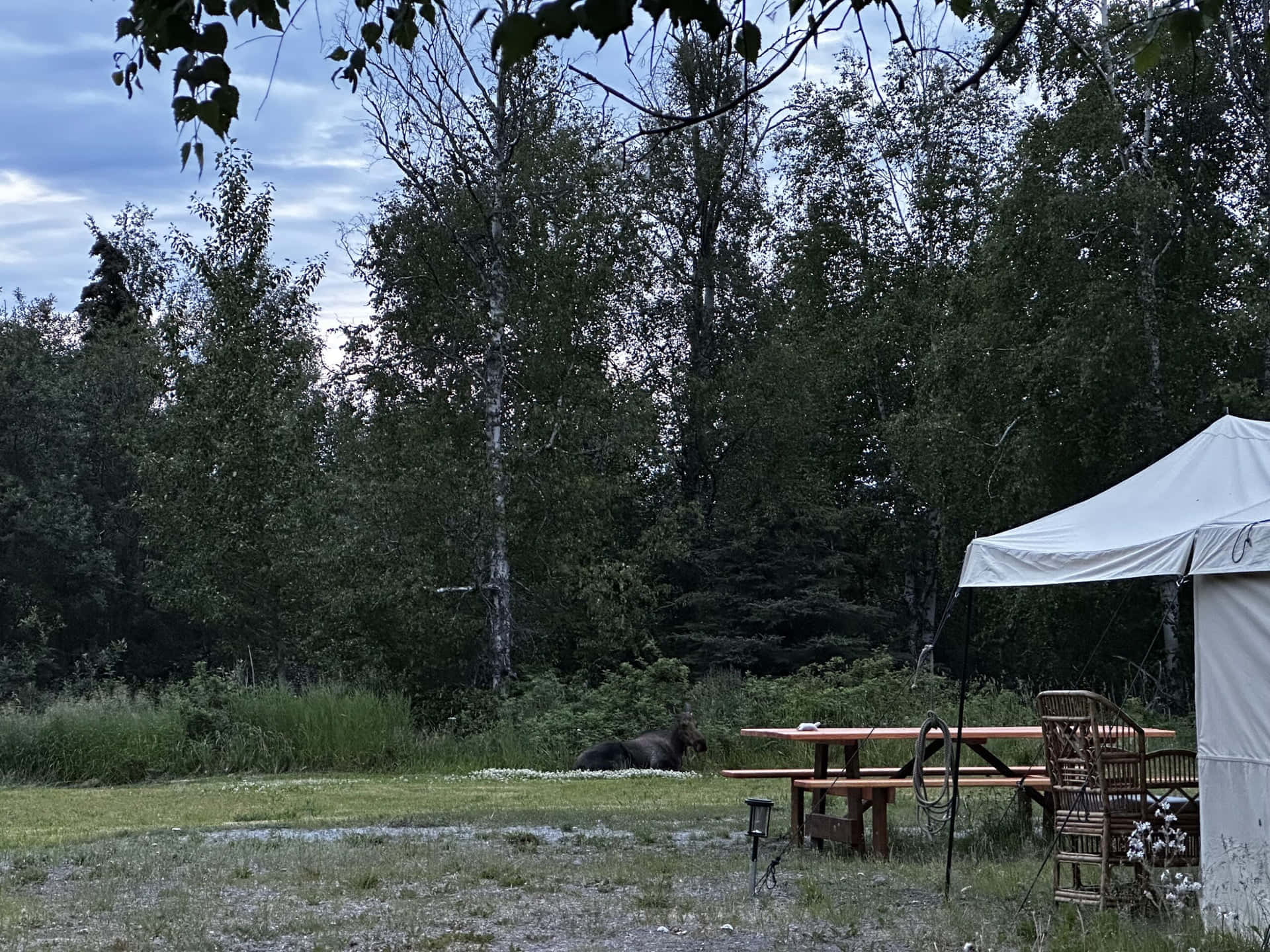 חדר ירוק (1-2 אורחים) gallery 7