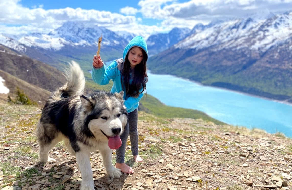 Аляска за 7 дней — взрослые и дети - 4