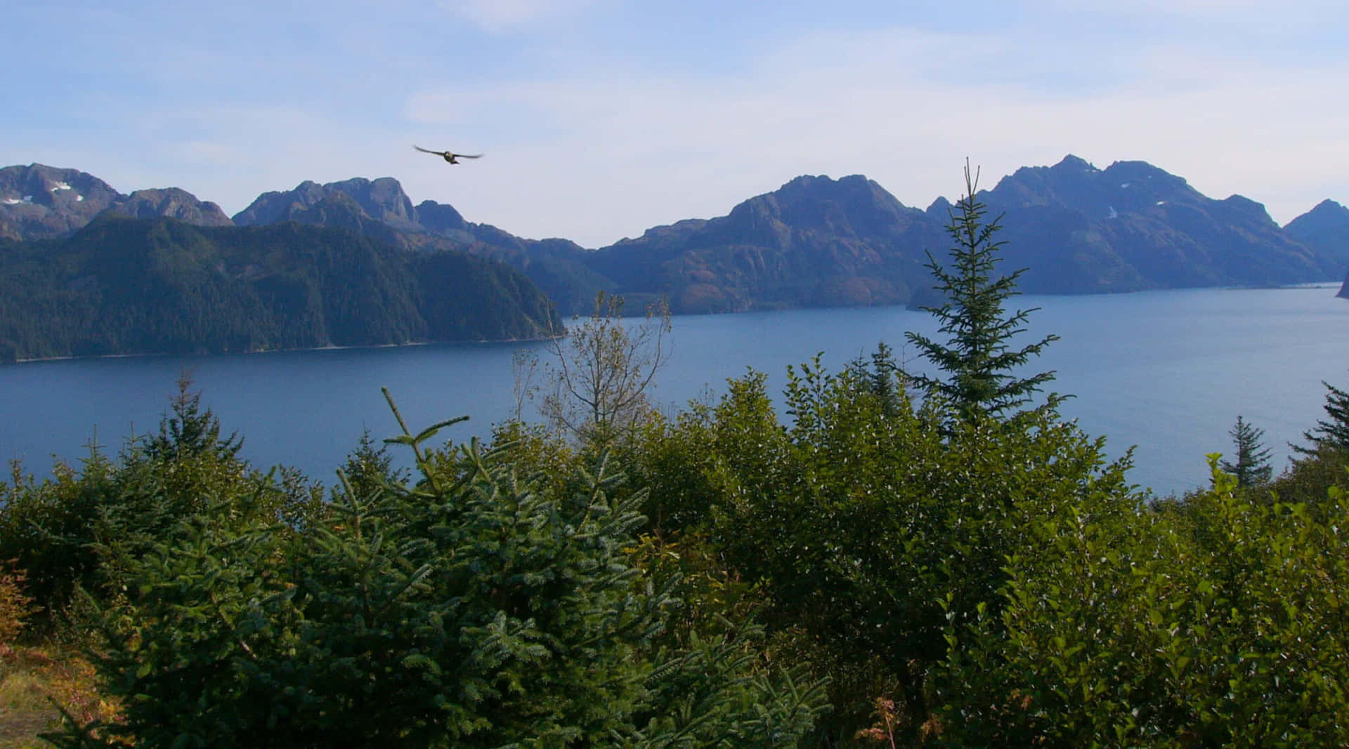 Календарь туров