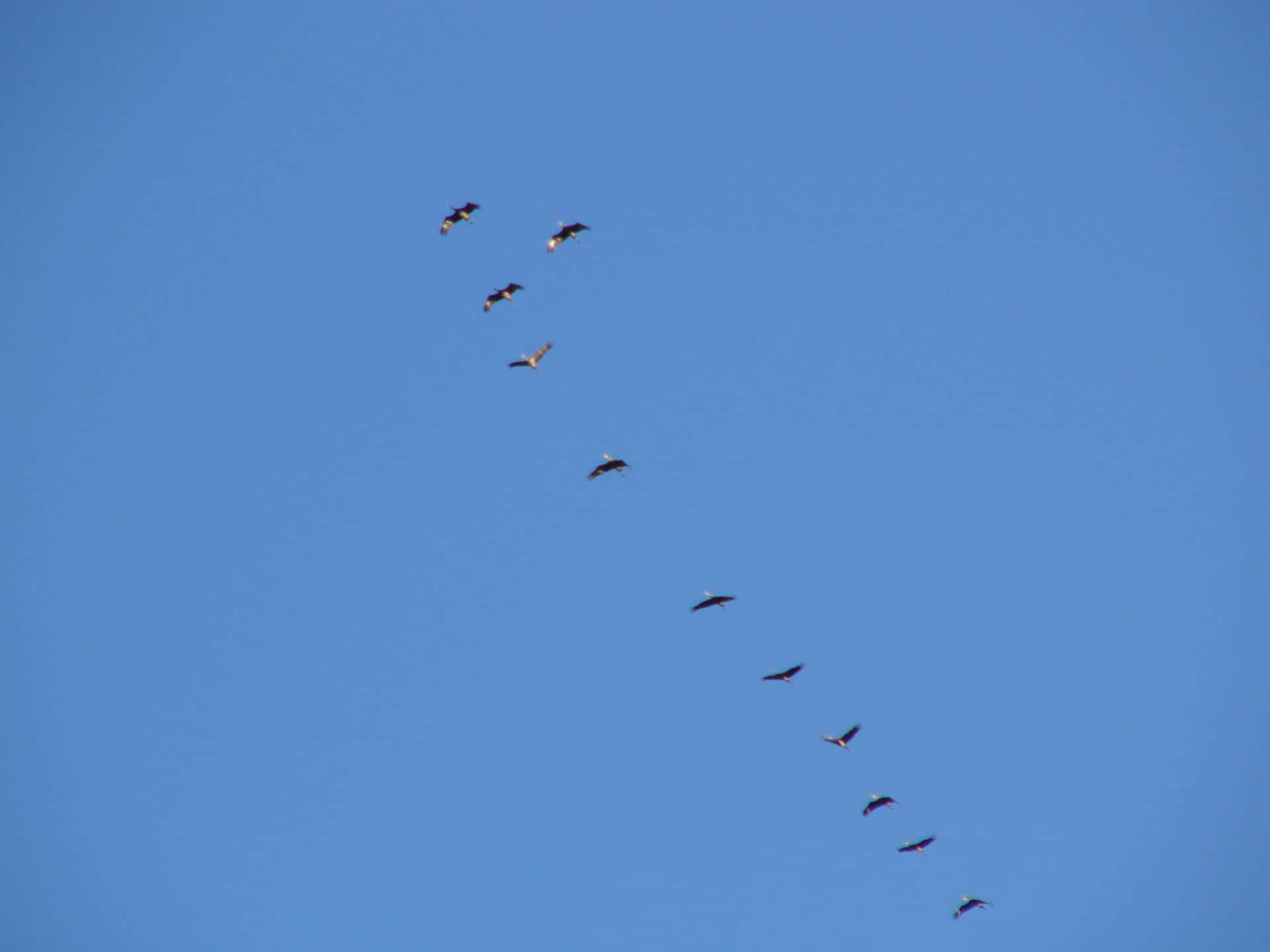 Золотая осень 2026 - 7